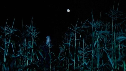 The Town That Dreaded Sundown
