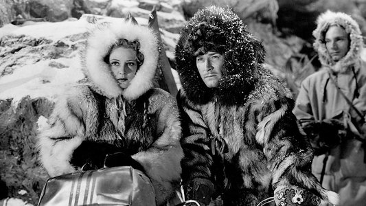 Northern Pursuit