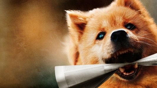 忠犬八公
