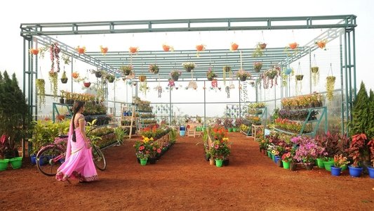 కథలో రాజకుమారి