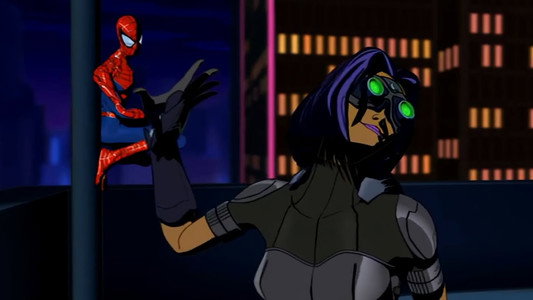 Spider-Man: The New Animated Series