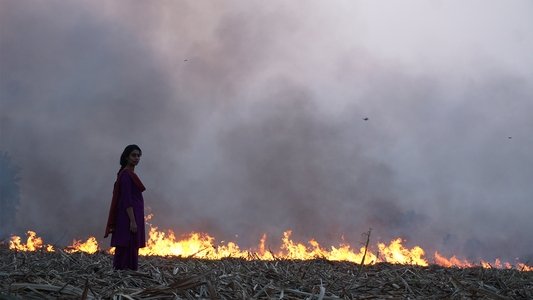 बिटर स्वीट