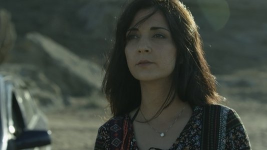 Dəniz suyu içən it