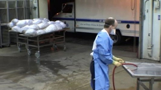 A Certain Kind of Death