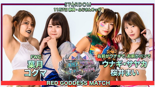 第11回 ゴッデス・オブ・スターダム～タッグリーグ戦～