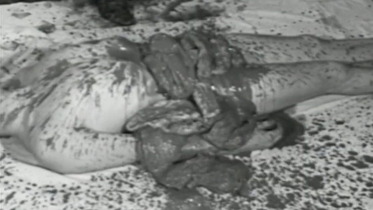 Das Aktionstheater Des Hermann Nitsch Zwischen Herkunft Und Zukunft