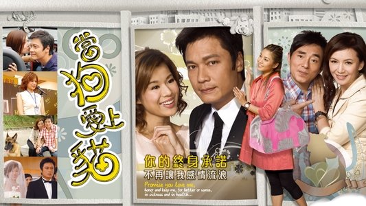 當狗愛上貓