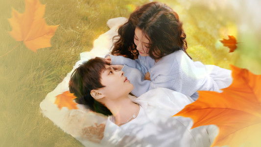 当星光坠入花海