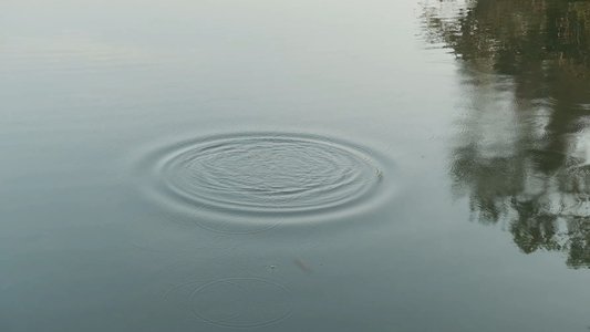 ลายหินอ่อน