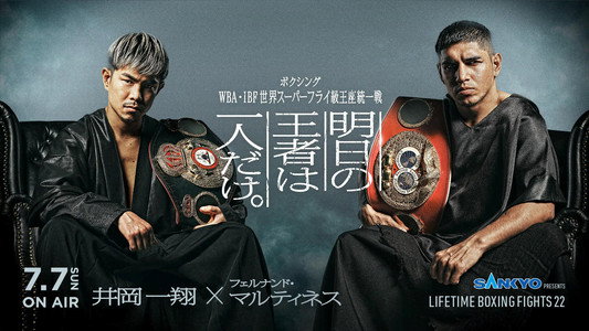 LIFETIME BOXING FIGHTS 22