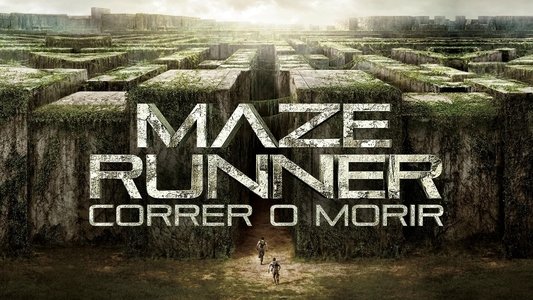 The Maze Runner