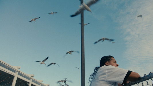 Mad Bills to Pay (or Destiny, dile que no soy malo)