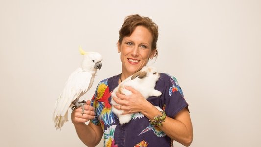 Dr. K's Exotic Animal ER