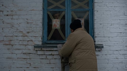 Сірі бджоли