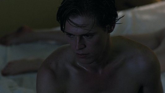 The Loveless