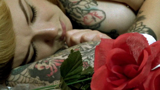 The Odd World of Felicia Fisher
