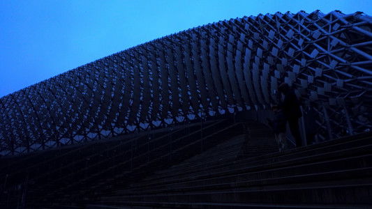 Latvijas Izmeklētāji