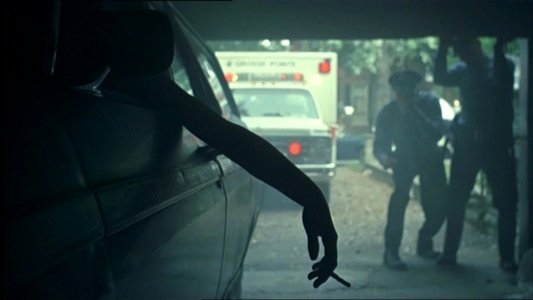 The Virgin Suicides