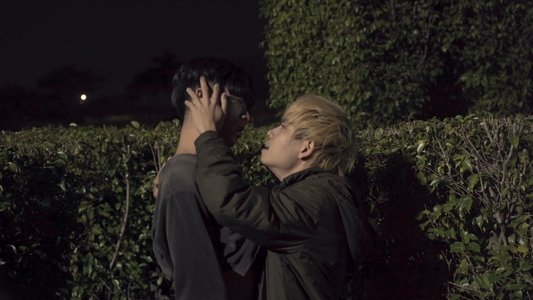 寂寥無聲的凝視