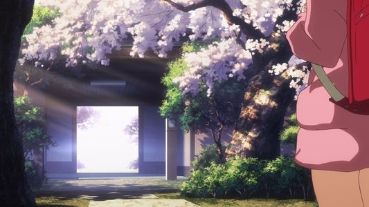 Shelter