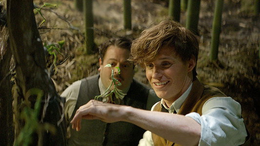 Fantastic Beasts and Where to Find Them
