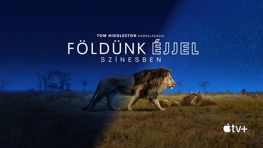 Earth at Night in Colour