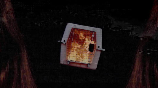 She's Allergic to Cats