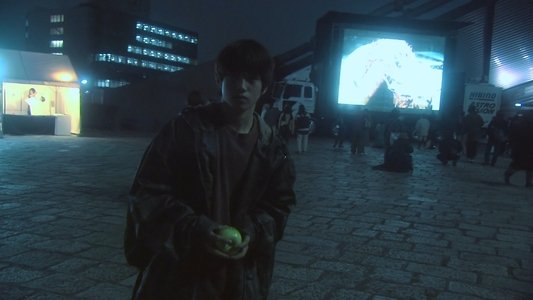 リリイ・シュシュのすべて