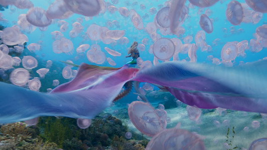 The Little Mermaid