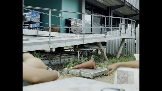 R e m i n d e r. (Director's cut)