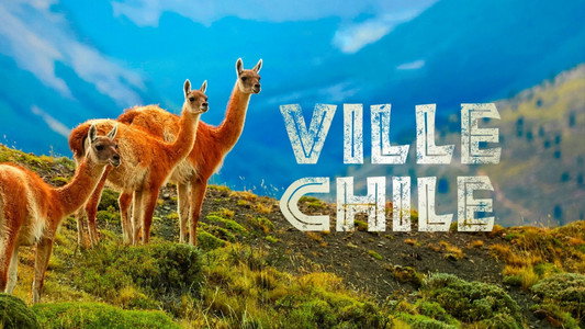 Wild Chile