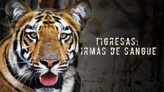 Tigress Blood