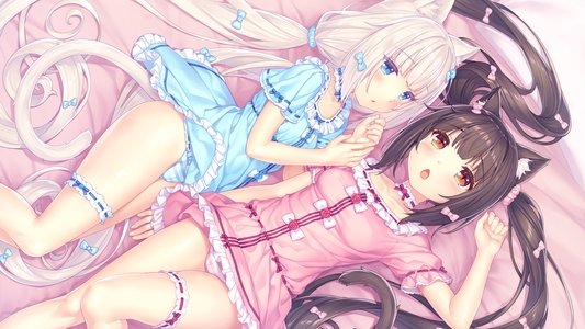 ネコぱら