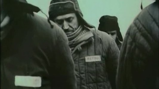 Vernyy Ruslan (Istoriya karaulnoy sobaki)