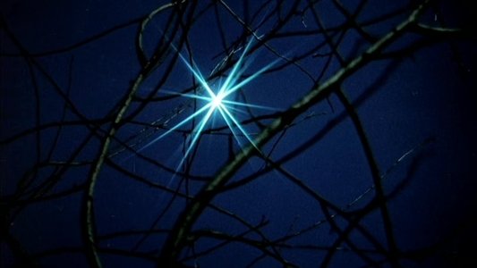 Тіні забутих предків
