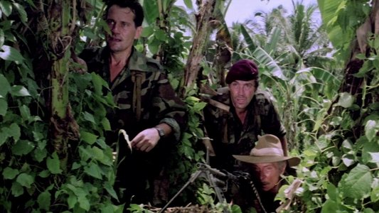 Code Name: Wild Geese