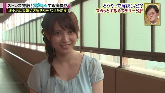 痛快ＴＶ スカッとジャパン