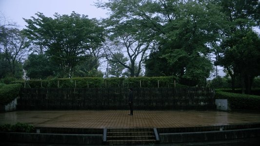 不能犯