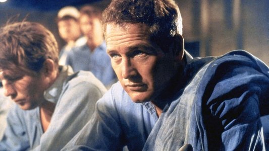 Paul Newman, l'intranquille