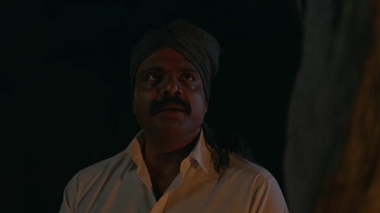 ചട്ടമ്പി