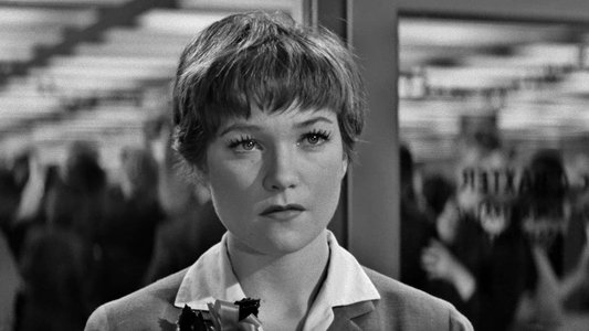 The Apartment