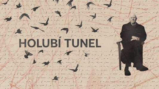 The Pigeon Tunnel