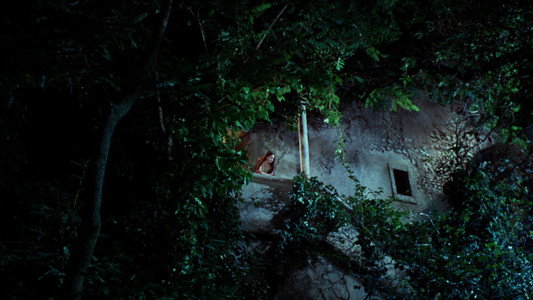 The Princess Bride