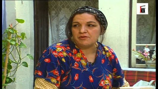 أمينة الصندوق