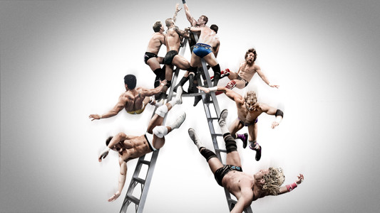 WWE Money in the Bank 2013