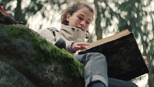 Schweigend steht der Wald