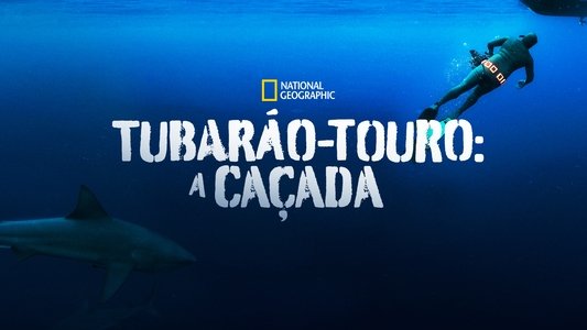 Secrets of the Bull Shark