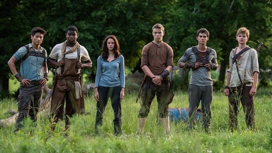The Maze Runner
