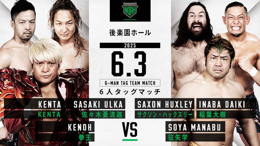 NOAH Star Navigation 2025 #3