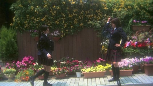 花とアリス